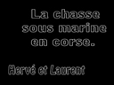 video-chasse